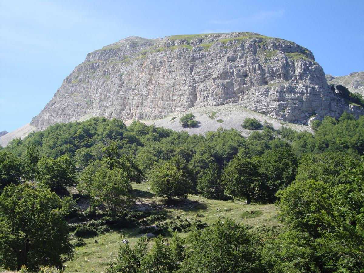 Appartamenti Il Capomandro SantʼAnatolia Kamer foto